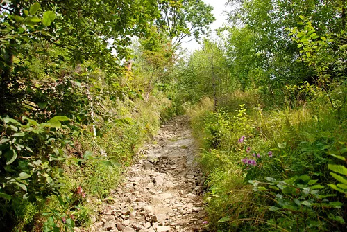 Turbacz - najwyższy szczyt w Gorcach