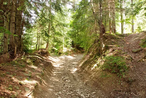 Turbacz - najwyższy szczyt w Gorcach