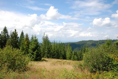 Turbacz - najwyższy szczyt w Gorcach