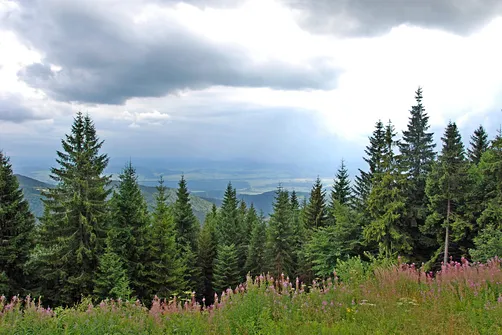 Widok ze schroniska na Turbaczu