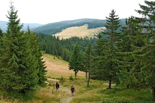 Widok ze schroniska na Turbaczu